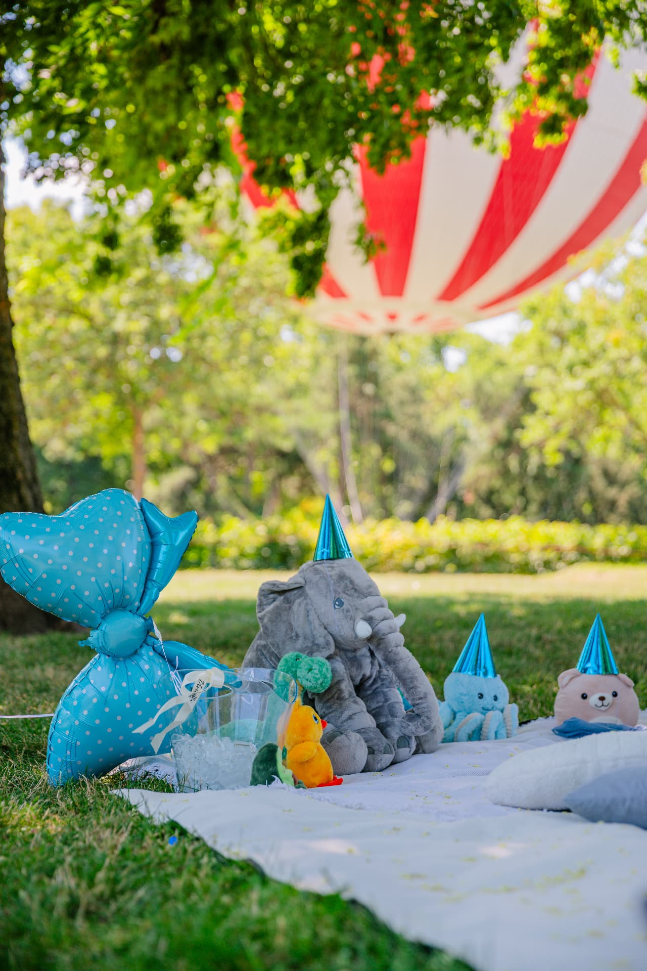 Baby shower celebration picnic setup under a parasol in Budapest