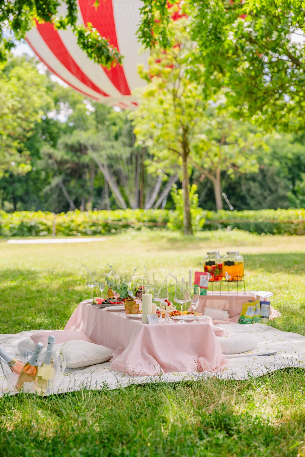 Luxury picnic tablescape under Budapest hot air balloon at City Park
