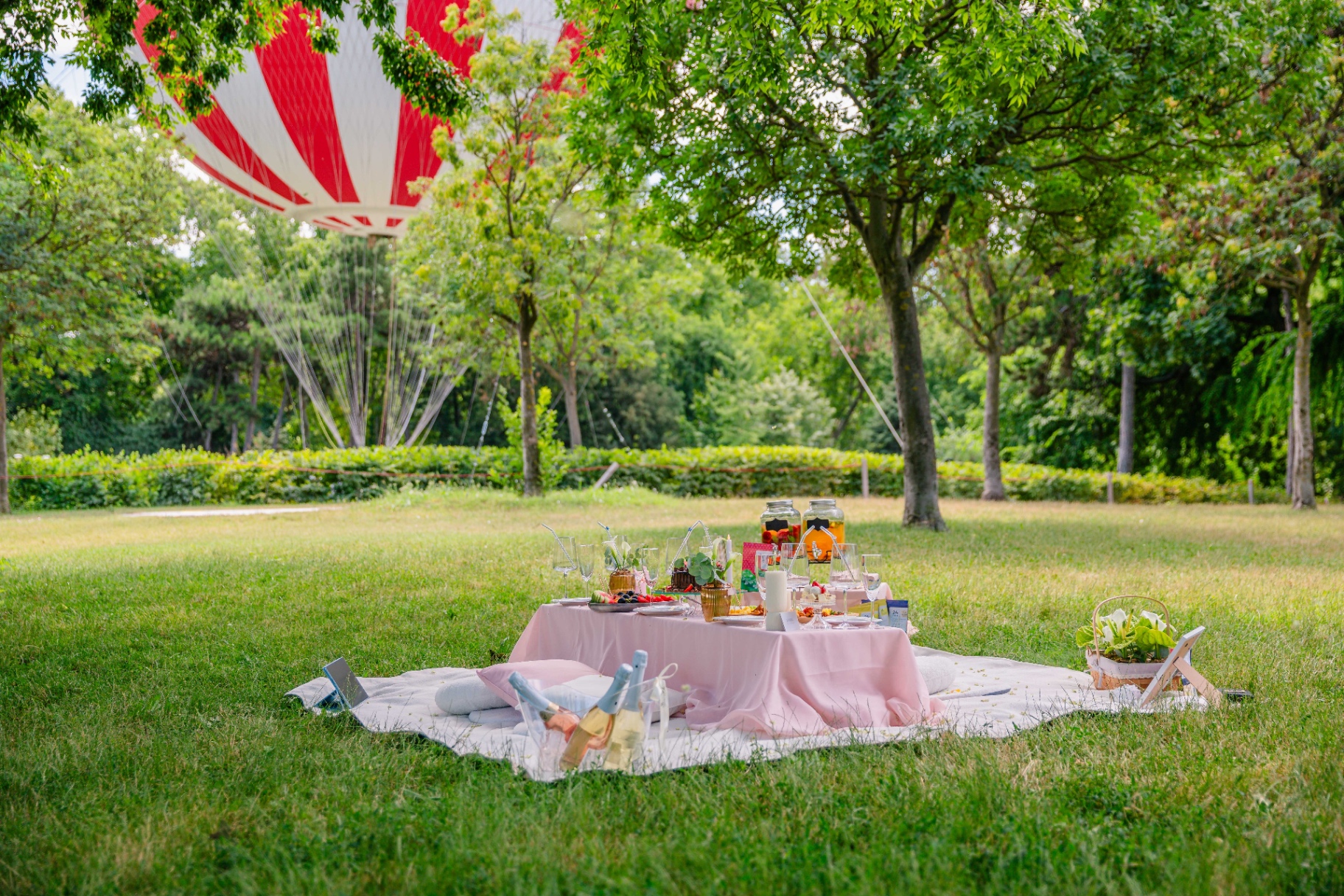 Luxury picnic setup in a Budapest park with pastel pink linens, champagne and a hot air balloon backdrop — Vivielle Events